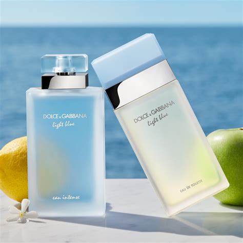 dolce gabbana light blue intense ici paris|dolce gabbana unisex.